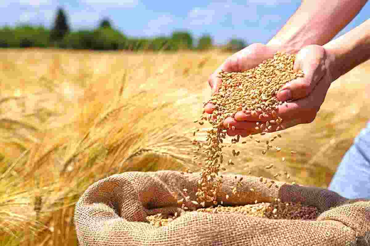  تامین 520 میلیارد تومان اعتبار برای پروژه‌های آب و خاک اردبیل